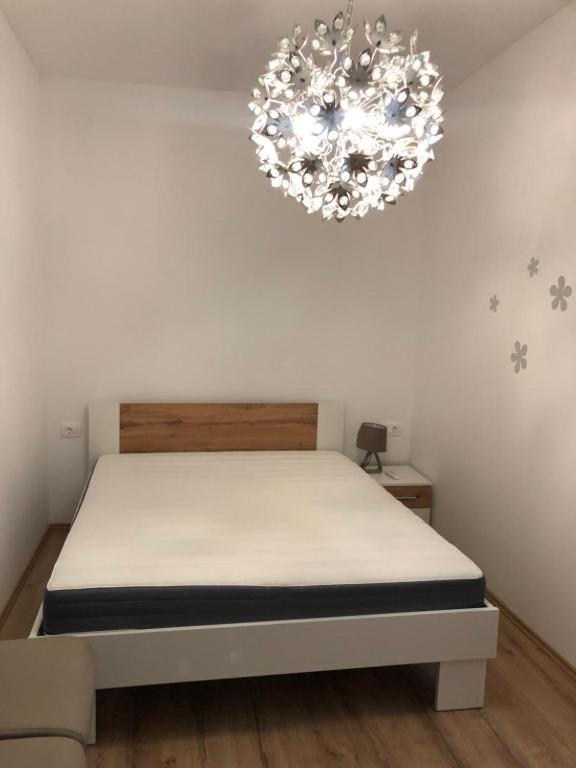 Apartmaji Meduza イゾラ エクステリア 写真